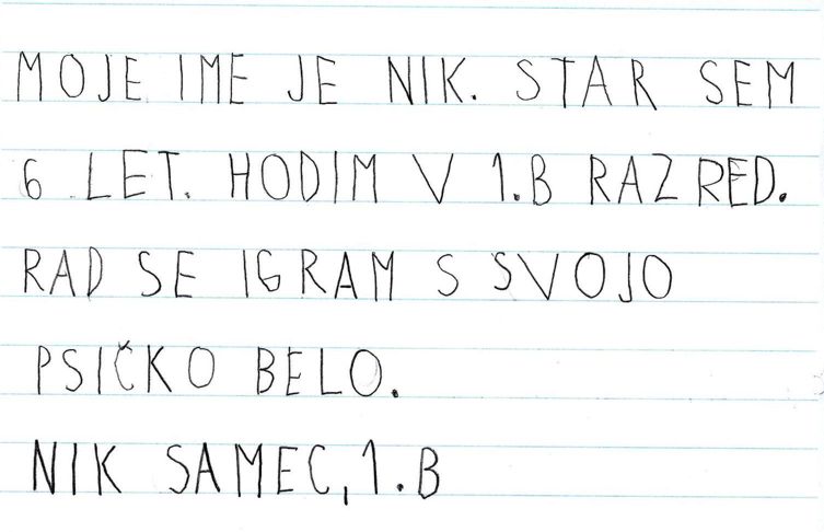 Nik Samec 1. b